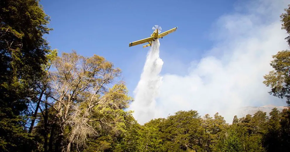 Combaten incendio en zona boscosa frente al lago Gutiérrez