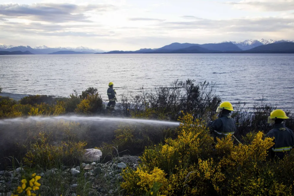Controlan un incendio de pastizales cerca del lago