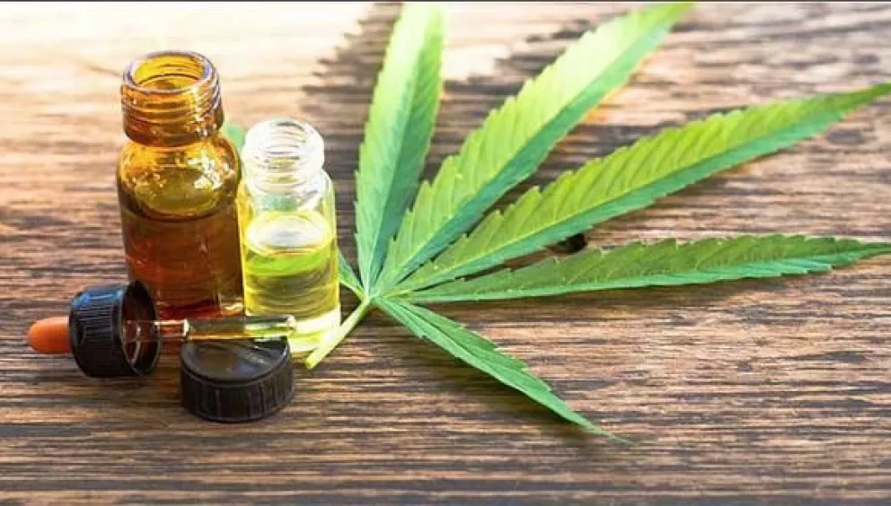 Amplio acuerdo en Río Negro para avanzar en el desarrollo de cannabis medicinal