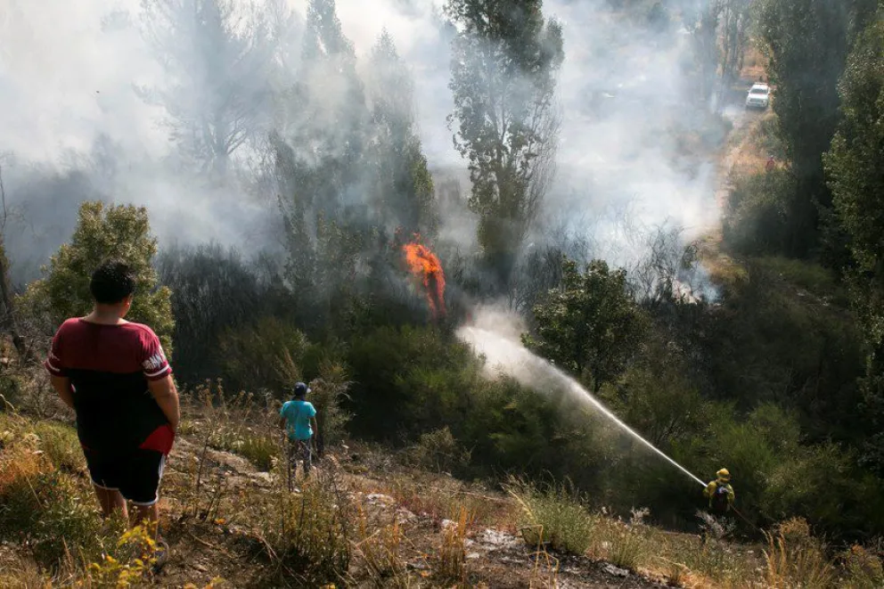 Senado aprobó el proyecto que limita el uso de tierras incendiadas