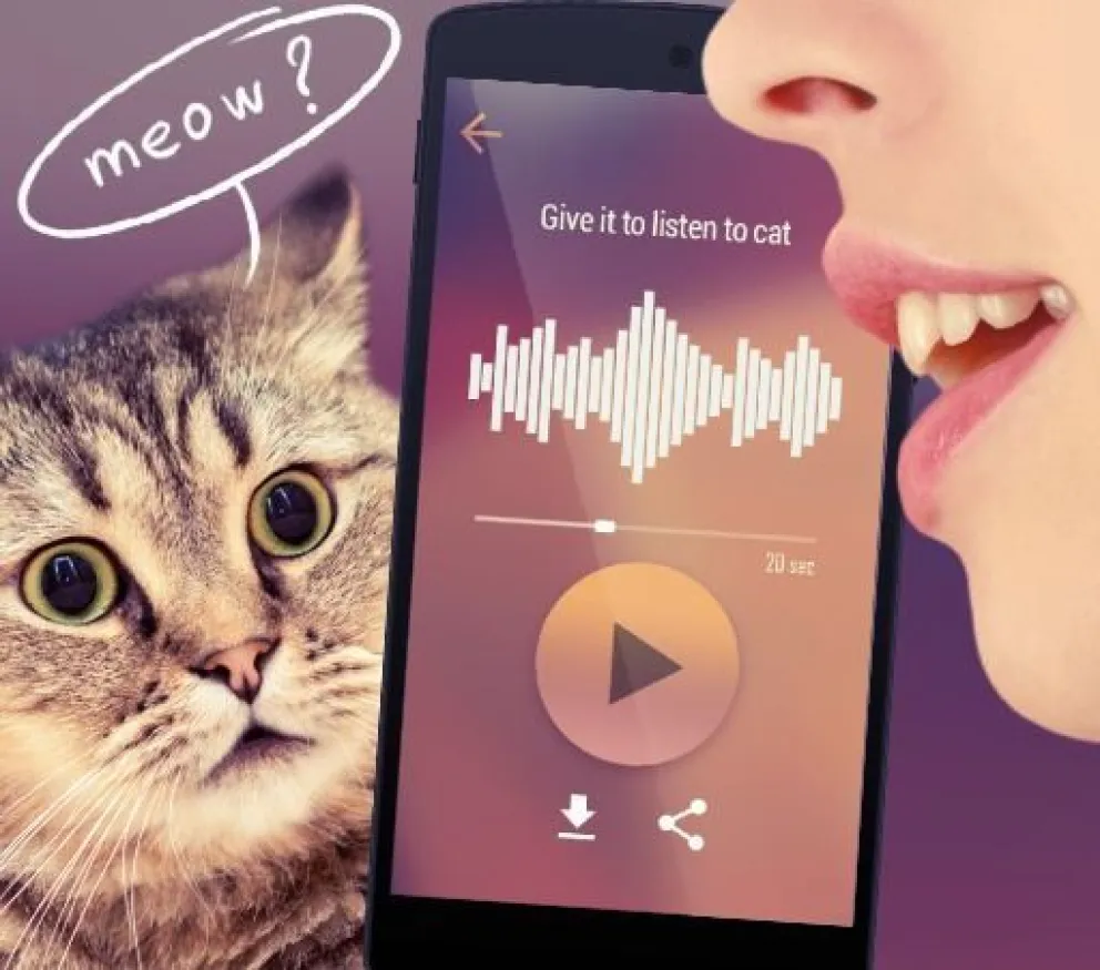 Cómo es la app para traducir lo que "dice" tu gato