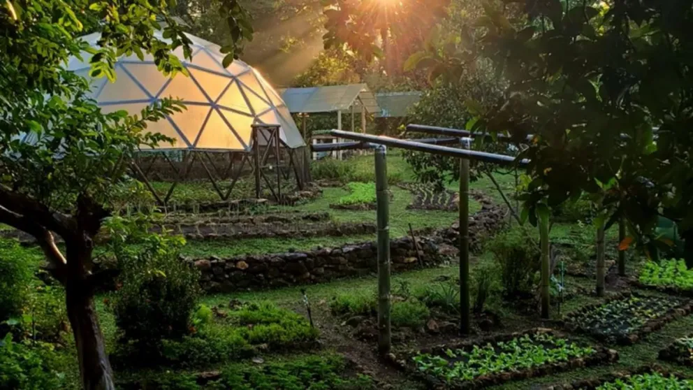 Cómo es la ecovilla que creó un argentino en la selva de Costa Rica