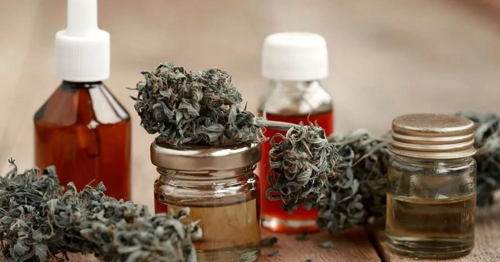 Inaugurarán el primer laboratorio de cannabis medicinal del país