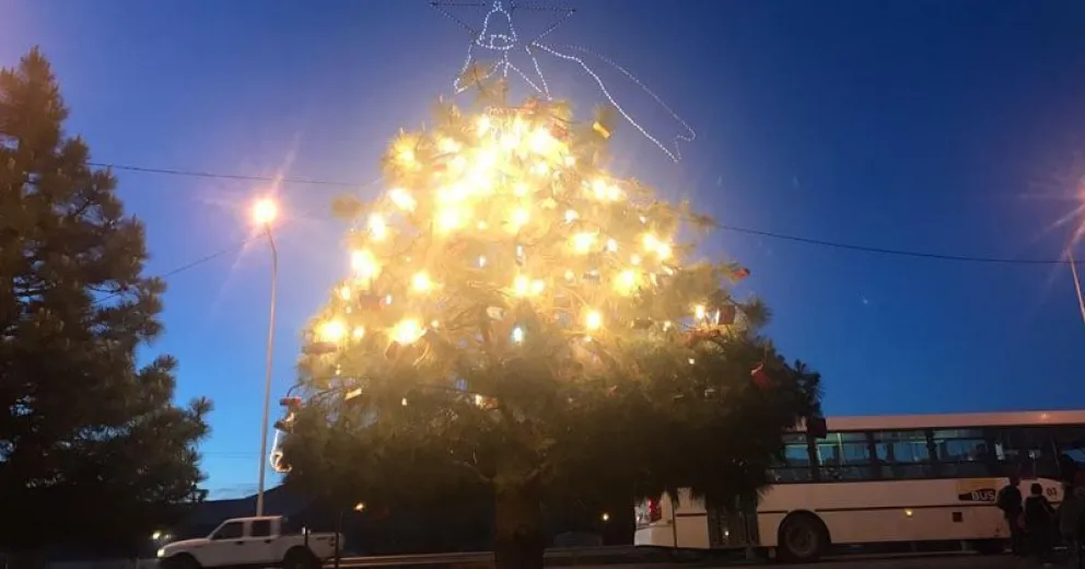 Arbolitos navideños barriales permitidos, pero sin vecinos