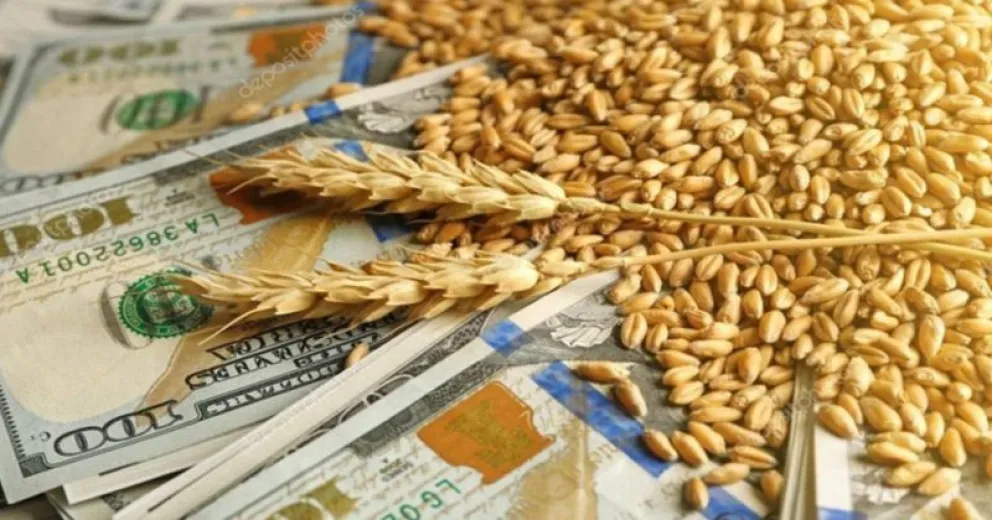 Exportaciones: se prevé récord en el trigo pese a la sequía