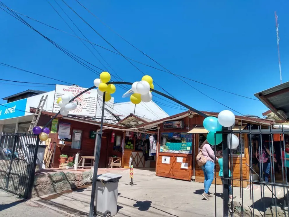 Pasaron por la comisaría y quedaron libres tras cometer un robo en la Feria Antu