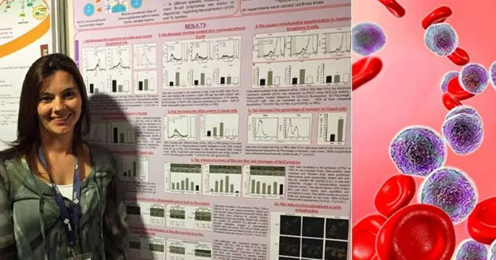 Descubren un tratamiento con baja toxicidad para tratar la leucemia, el cáncer que más afecta a los niños