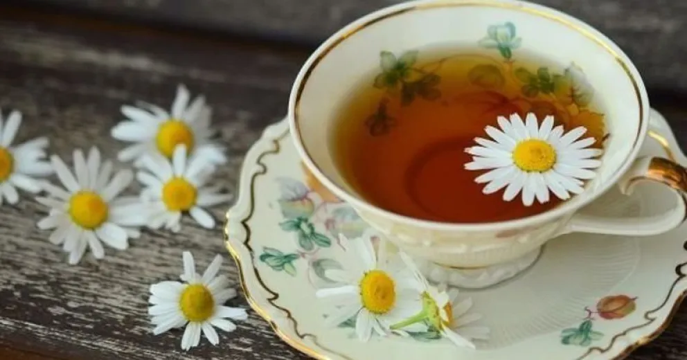 Infusiones y alimentos que activan la flora intestinal