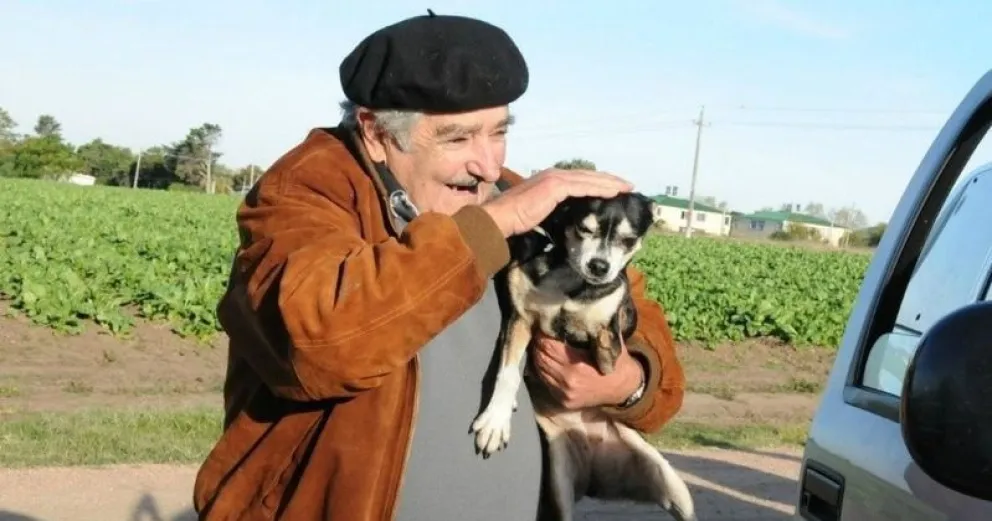 Pepe Mujica pidió que lo entierren junto a los restos de su perra Manuela