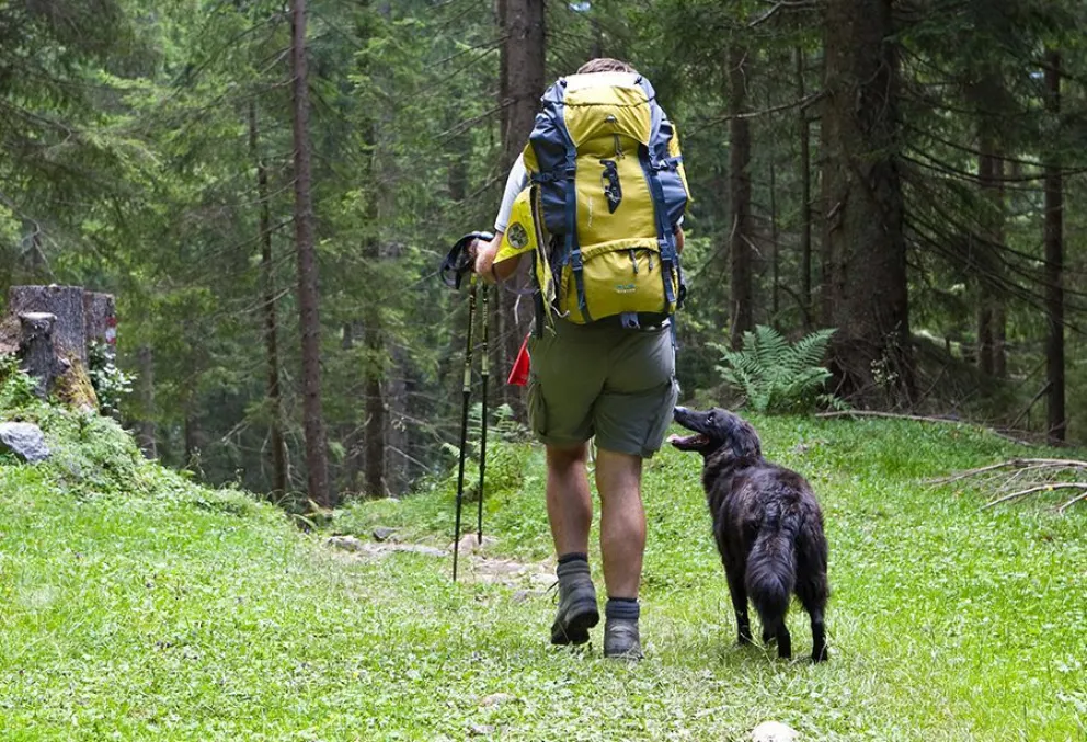 ¿Por qué no hay que llevar los perros al Parque Nacional?