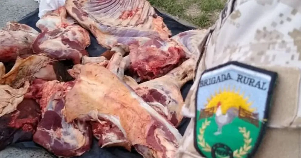 Dijeron que traían “un pedazo de carne” pero trasladaban una vaca entera