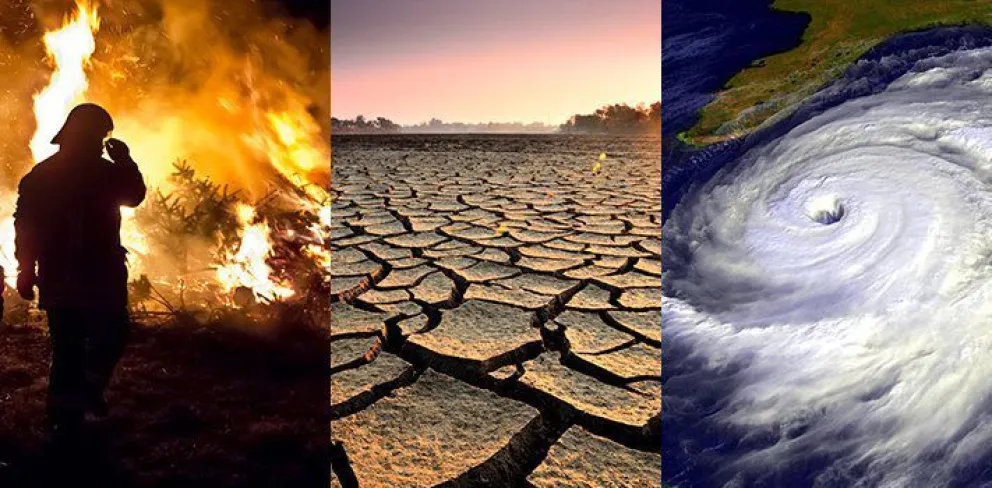 Desastres naturales que marcaron el 2020