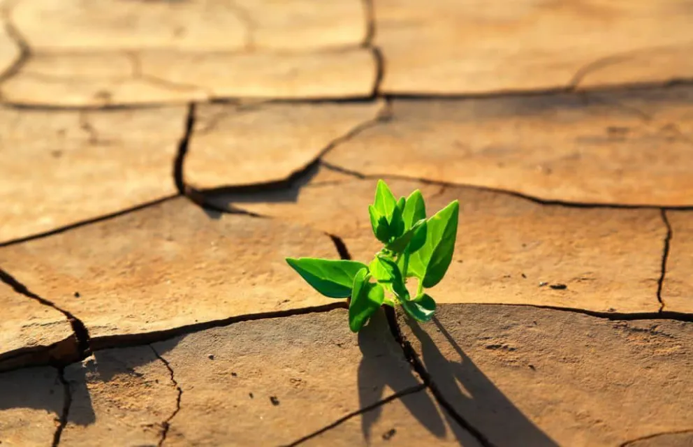 Cambio climático, necesitamos actuar con urgencia