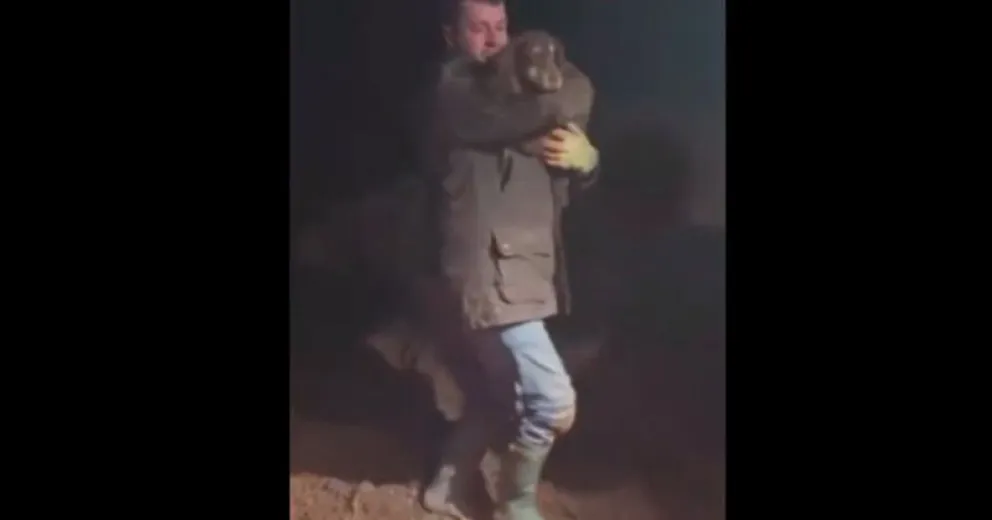 El emotivo encuentro entre un perro sordo y su dueño tras ser rescatado