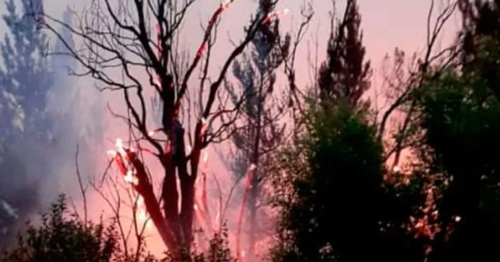 El fuego ya arrasó 75 hectáreas de bosque en Los Repollos