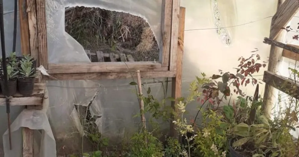 Robaron y causaron destrozos en el Vivero Municipal