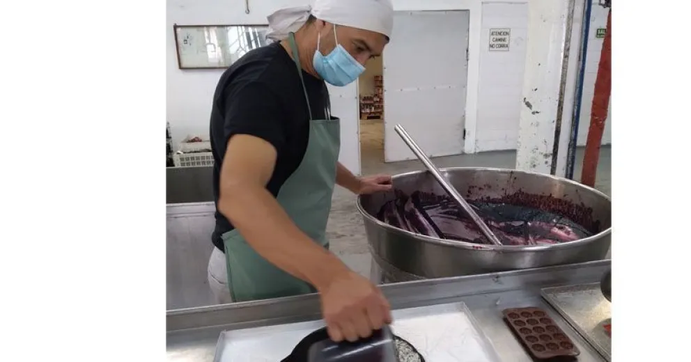 Confirman que el sauco disminuye las probabilidades de contagio del COVID