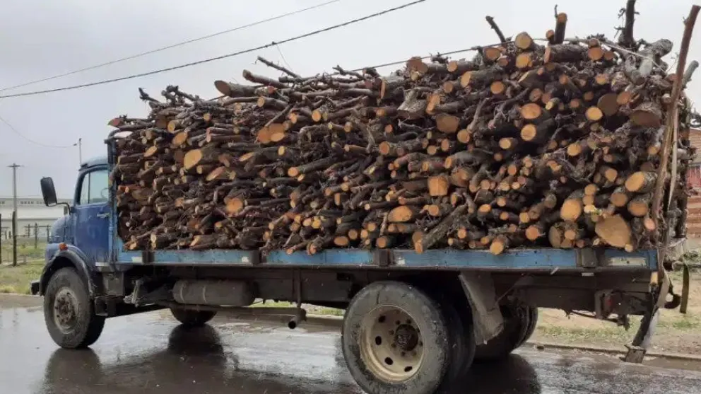 Video: el camionero que le compite al Pulpero de Las Grutas