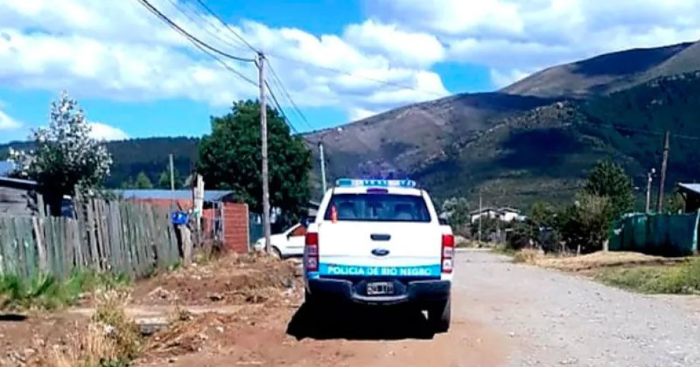 Tras una persecución detuvieron a dos turistas que habrían robado en un supermercado