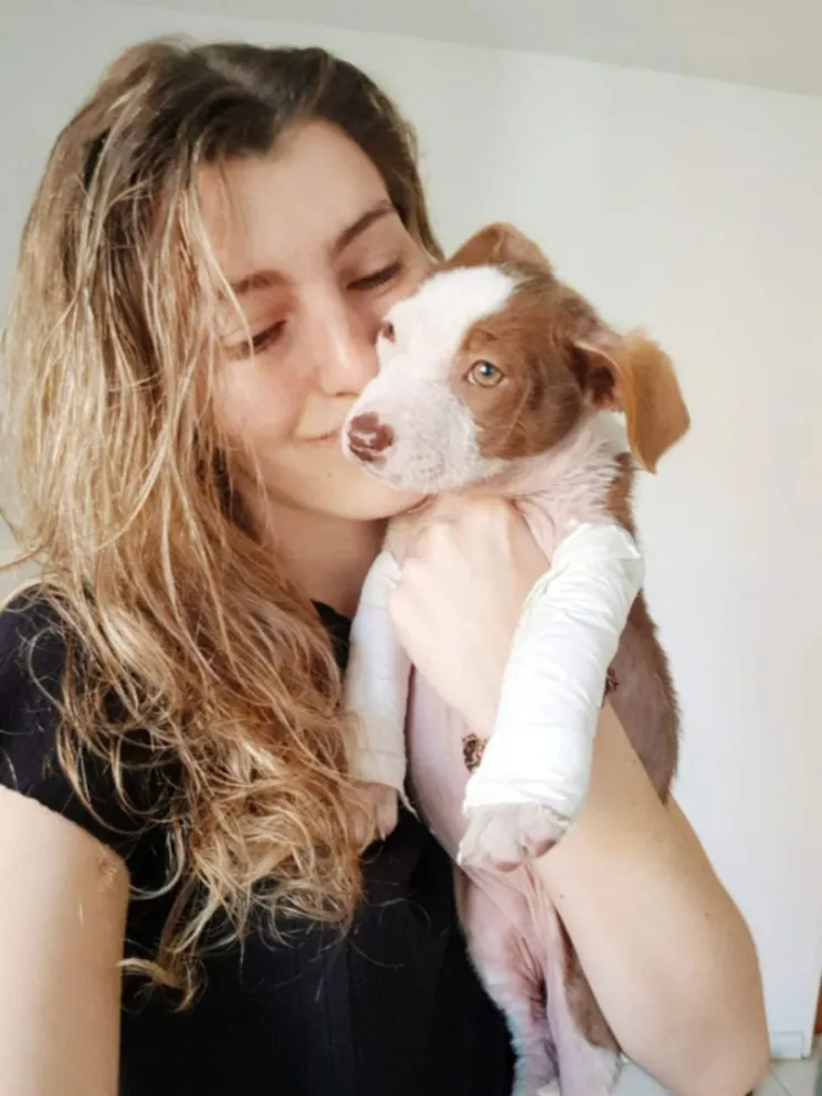 La emocionante historia de Samar, la perrita chueca que se atoró en una reja