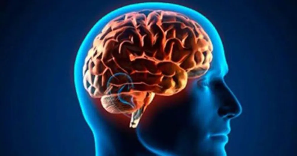¿Cómo funciona nuestro cerebro en situaciones estresantes?