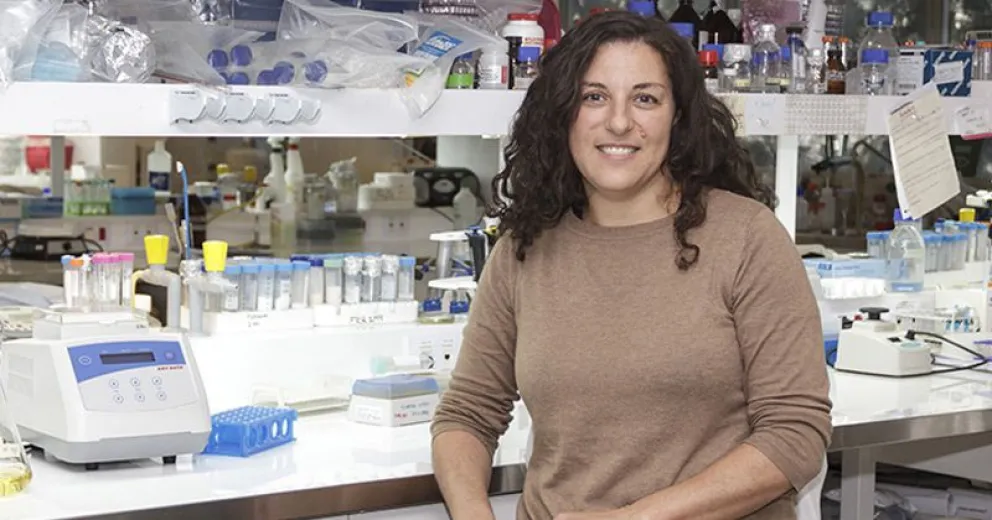 Identifican claves de la entrada del nuevo coronavirus a las células con posibles implicancias terapéuticas