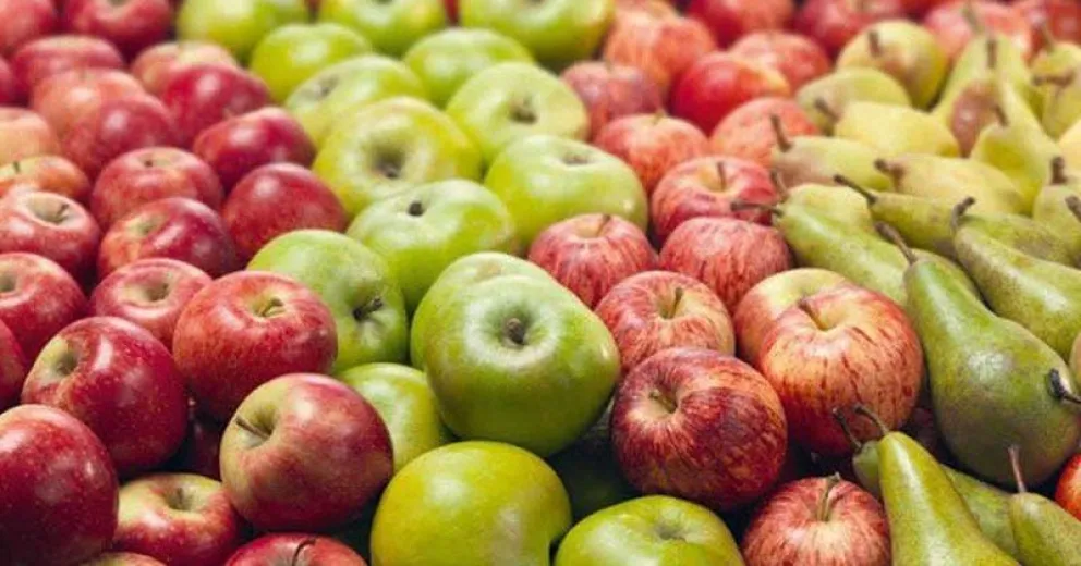 Comienza una nueva temporada de exportación de peras y manzanas del Alto Valle