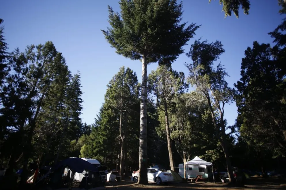 ¿Qué debo tener en cuenta al hacer fogones durante un campamento o salida?