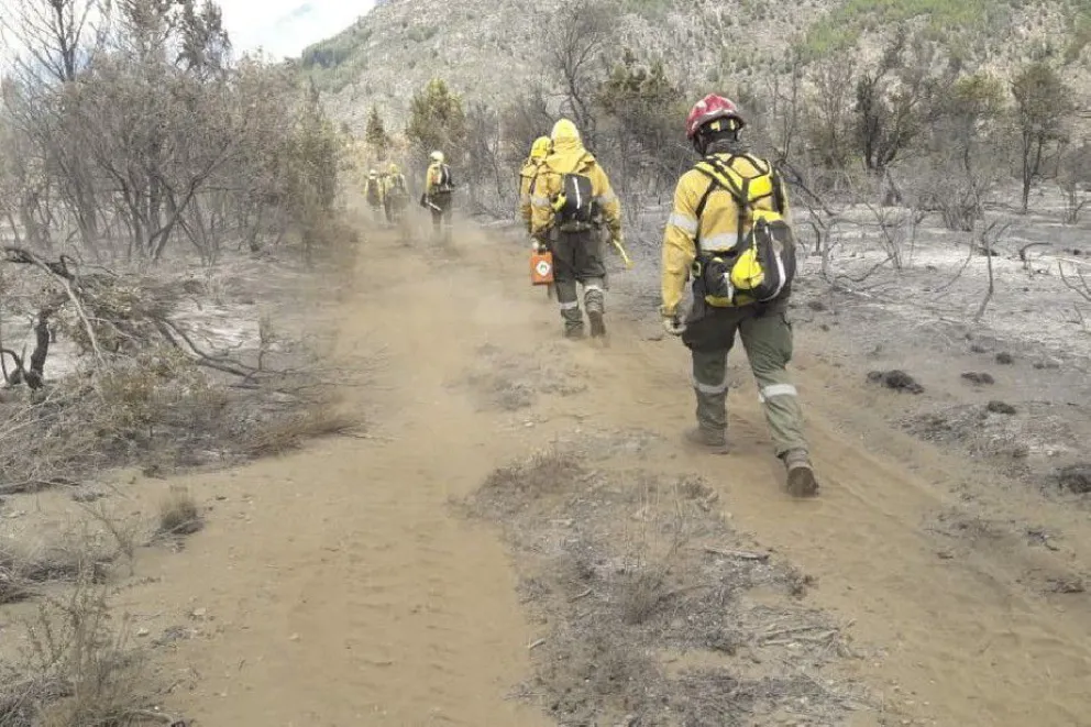 Contuvieron uno de los sectores del incendio cerca de El Bolsón