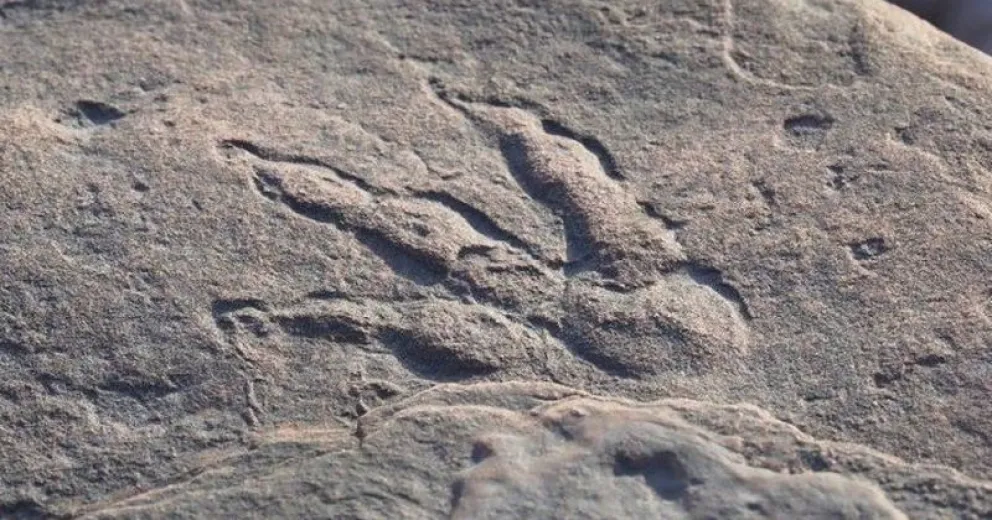 Una nena de 4 años descubrió una huella de dinosaurio de 220 millones de años