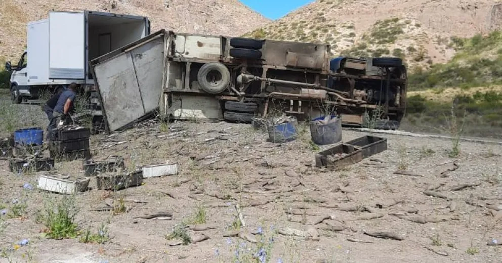 Cientos de truchas tiradas en la banquina tras espectacular vuelco de un camión