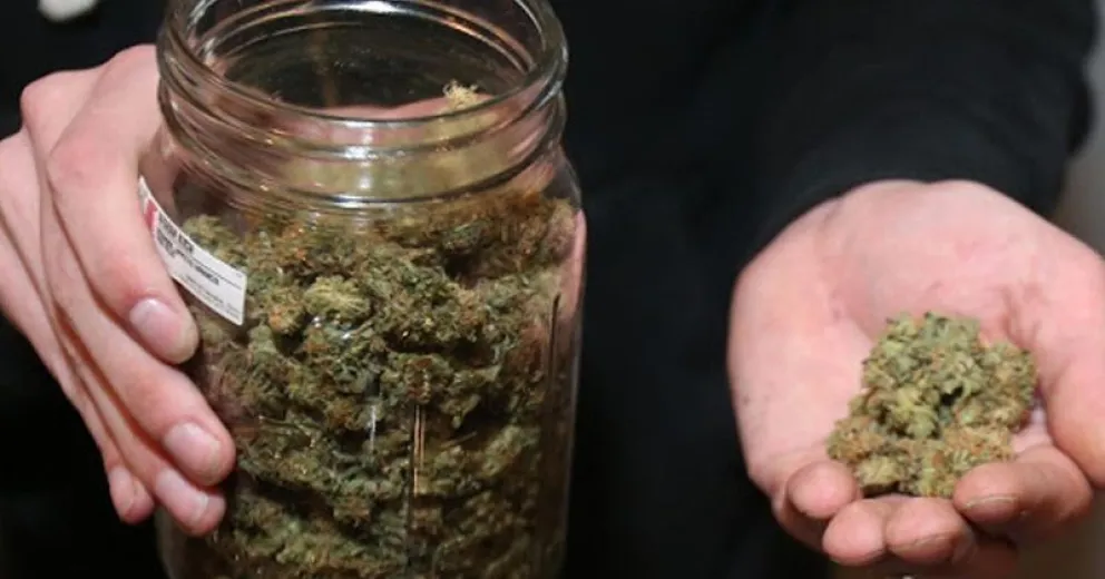 Llevó marihuana a su trabajo, lo despidieron y demandó por calumnias al presidente de la empresa