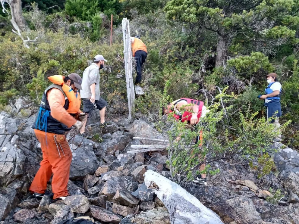 Cortaron alambrados y tiraron muelles clandestinos para liberar las costas del lago Moreno