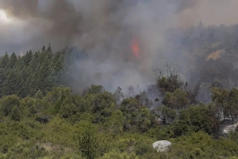 Proponen aumentar las penas a quienes originen incendios forestales