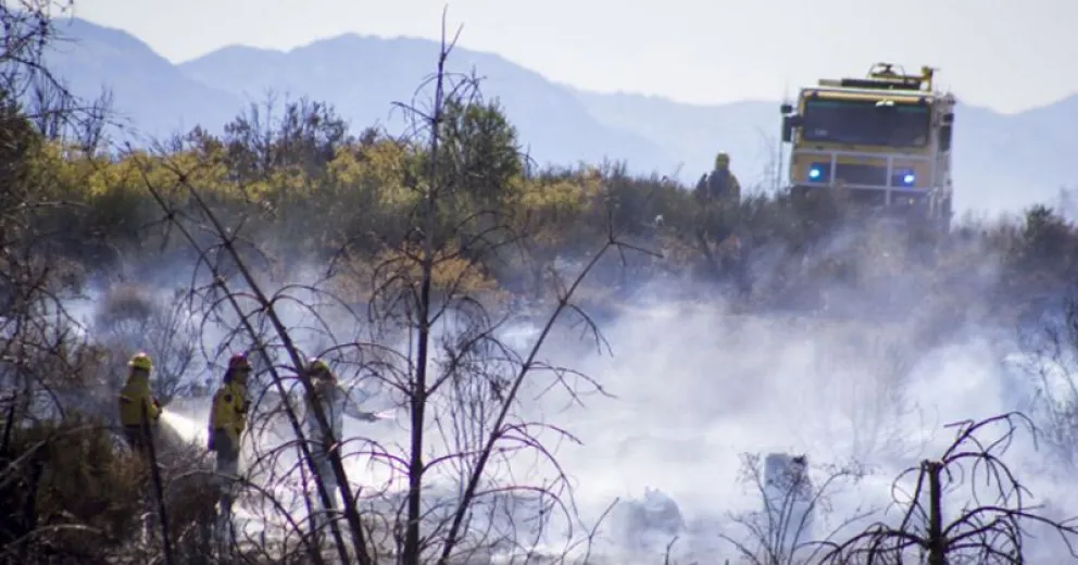 Hubo al menos tres focos de incendios forestales en las últimas 24 horas en la ciudad