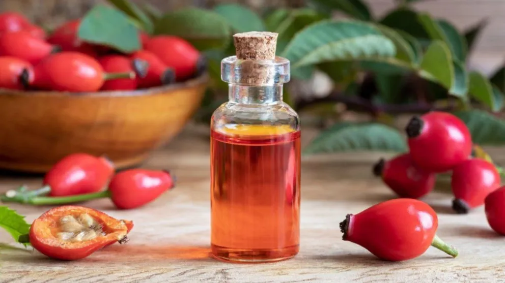Aceite de rosa mosqueta en tus rutinas de belleza: cómo usarlo