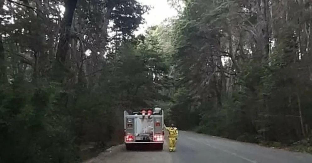 Hicieron un asado en el bosque y casi provocan un gran incendio