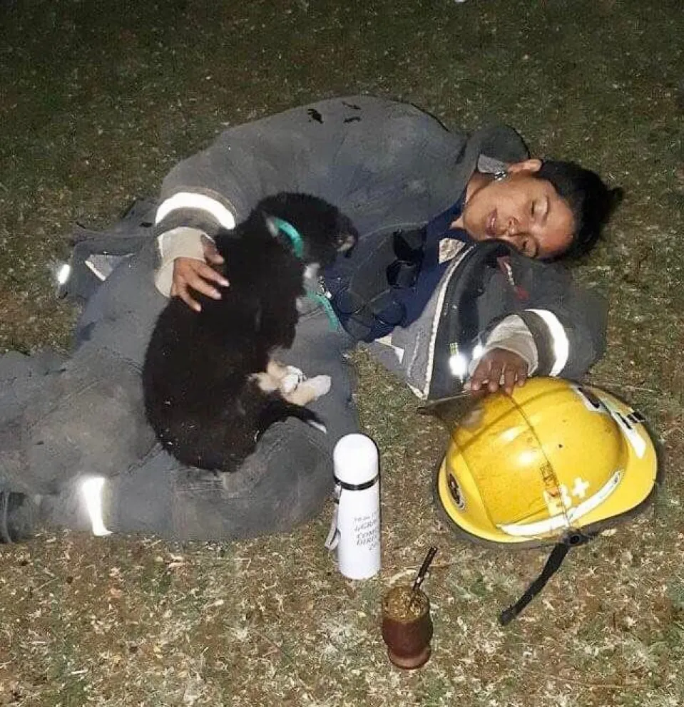Emocionante foto de una bombera extenuada protegiendo a un perro en El Bolsón