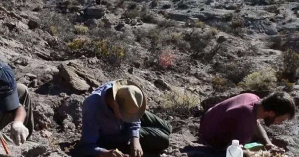 Nuevo dinosaurio hallado en la provincia: “no era demasiado grande, pero seguramente era feroz”
