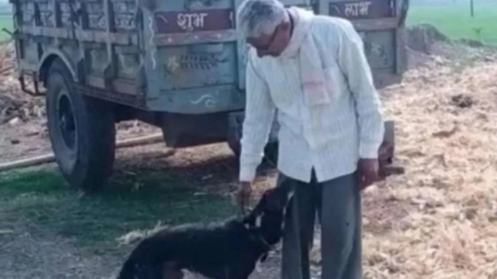Le dejó más de 3 hectáreas como herencia a su perro: "Me quiere más que mi familia"