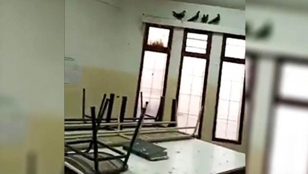 Escuela en mal estado: encuentran caca y palomas muertas en el CET 9