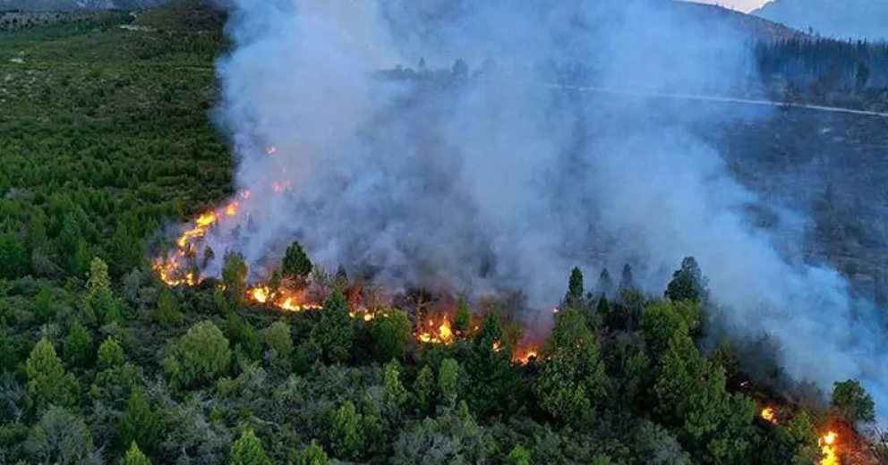 Una de las turistas acusadas niega haber causado el incendio en El Bolsón