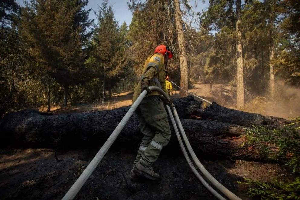 Arabela Carreras decretó el estado de emergencia agropecuaria por el incendio en El Bolsón