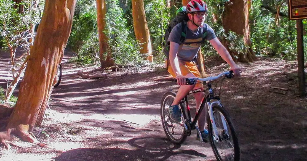 Ya se puede recorrer el sendero del Bosque de Arrayanes en bicicleta