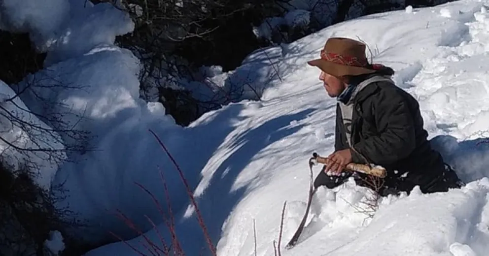 Sembrando Futuros comenzó una nueva campaña de alimentos y forrajes para llevar a Ñirihuau Arriba