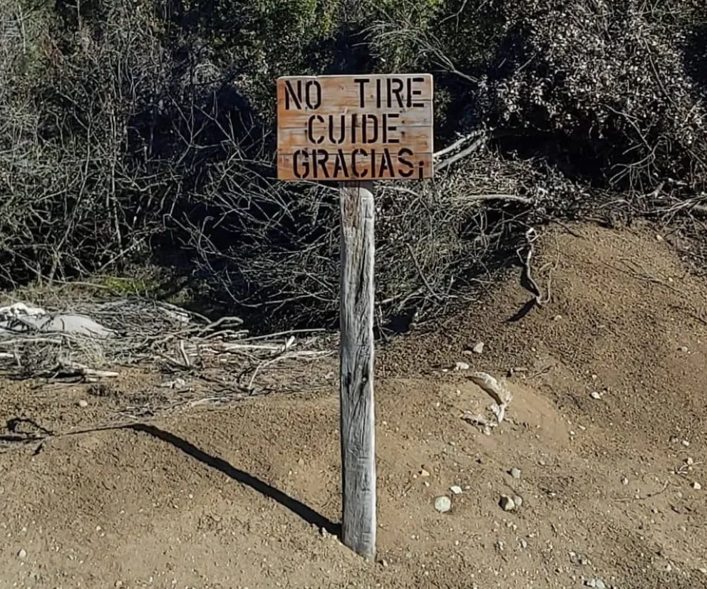 Día de la Limpieza: la responsabilidad colectiva de habitar espacios libres de basura