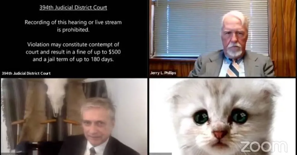 Abogado activó por error un filtro de gato en pleno juicio virtual