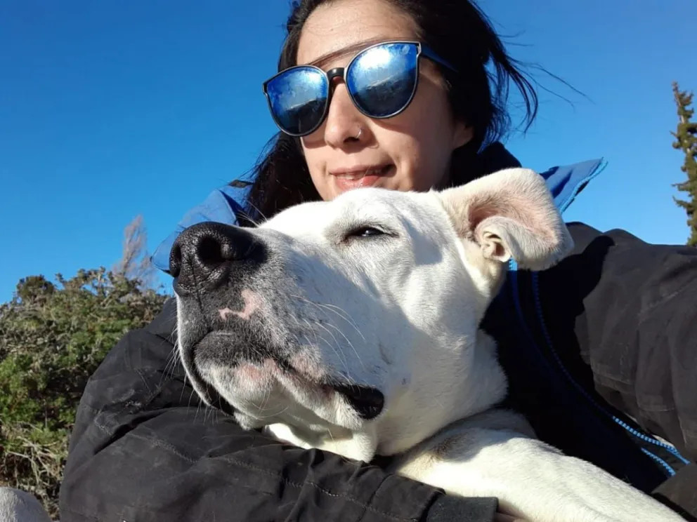 La odisea de encontrar alquiler teniendo mascotas