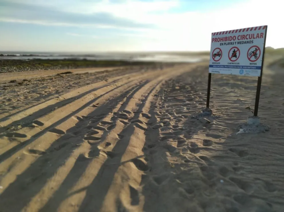 Vecinos del sur de Las Grutas piden que se cumpla la ley de no ingresar con vehículos a las playas y dunas