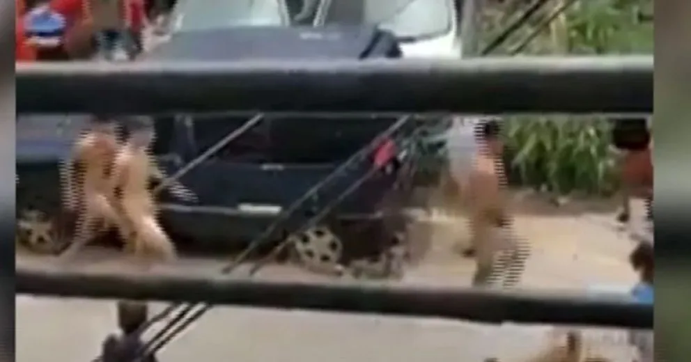 Vecinos desnudaron y sacaron corriendo a tres ladrones